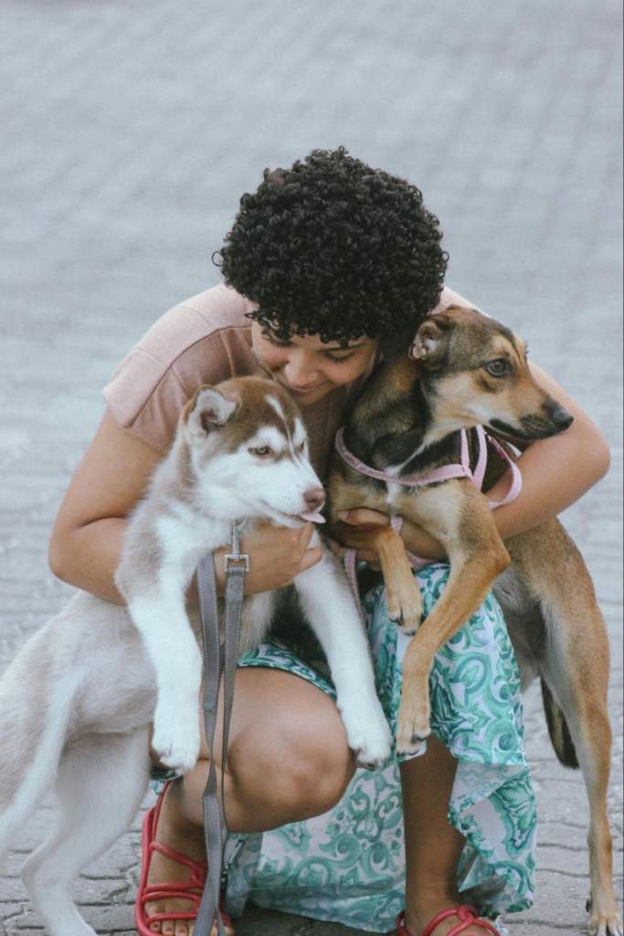 Person holding dogs