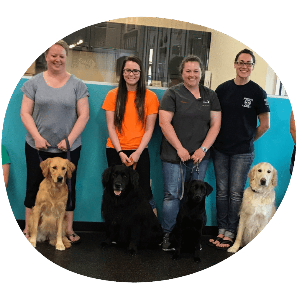dog boarding, grooming, day camp, and training services at Mighty Pet in Marinette WI