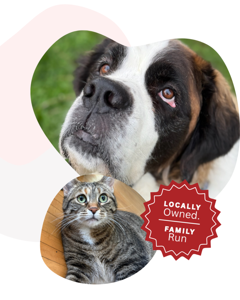 Pet boarding, doggie day camp, and cat sitting services in Menominee, MI