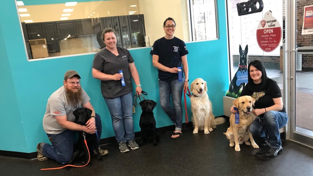 Group dog training classes at mighty pet in marintte WI Mighty Pet training class group session