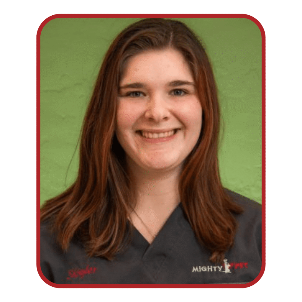 Certified dog trainer in marinette WI at mighty pet for dog manners and puppy training leash training
