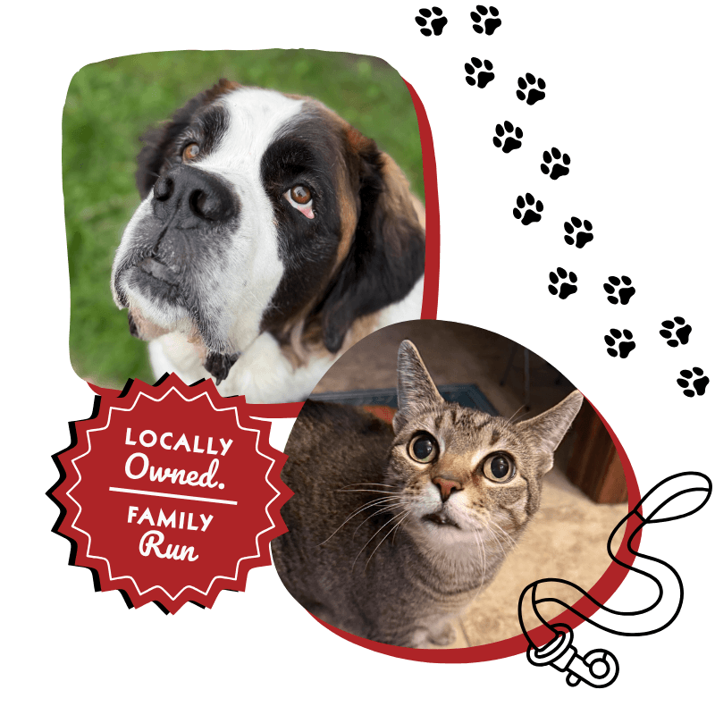 pet sitting pet boarding dog training dog grooming and pet supplies in menominee mi